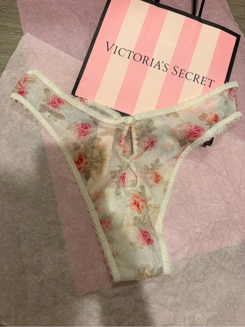 New VS DREAM ANGELS Sheer Shimmer Lace-Trim Panty S